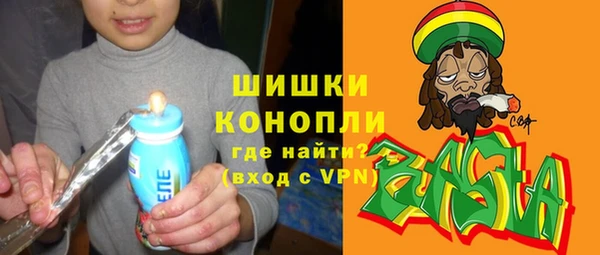 дурь Алексин