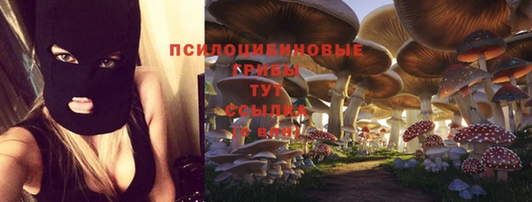 винт Армянск