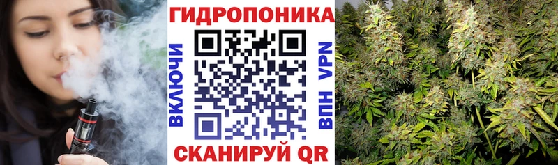 Бошки марихуана VHQ Балахна